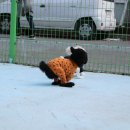 마오네(1호점) 이미지