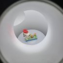 성공목장 이미지