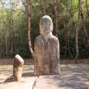 순천-51호 이미지