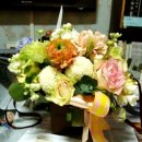 연정(신녕) 이미지