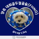 배방동물병원 이미지