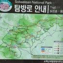 제181차 영주 소백산 철쭉 축제 정기산행 이미지