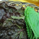 창녕상회 이미지