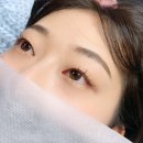 스노우브로우