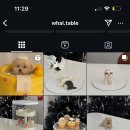 왈테이블 이미지