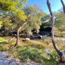 온누리부동산중개사무소 이미지