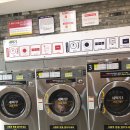 부성 세탁 이미지