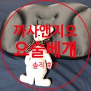 앤지오링크 | [요술베개 후기] 통째로 빨아쓰는 까사앤지오 베개 솔직 후기