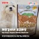 제주영실 표고버섯 | 강아지 동결건조야채간식 제주강씨네 | 유기농 표고버섯 사료토핑 후기