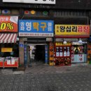 송파영탁구클럽