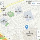써니의 허브다이어트