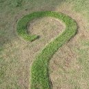 물음표question mark(26.8.21) 이미지