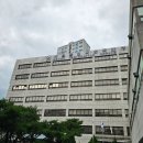 라온행정사사무소 이미지