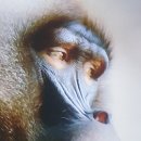 눈이야기 이미지