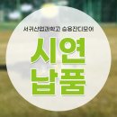 서귀산업과학고등학교