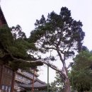 종로-종로-종로-종-126 이미지