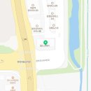 The dog 애견미용샵 이미지