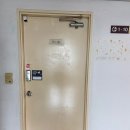 W.14 l 강릉 야외스냅 진희이모 드레스 피팅후기