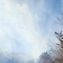 집현면1 이미지