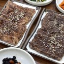 빛고을애견샵 이미지