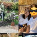 스테이 614 이미지