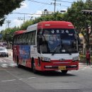 중앙초교 사거리 이미지