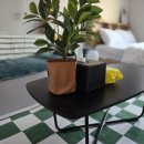 소풍 | 대전 야구장숙소 추천 성심당 가까운 소풍호텔 숙박후기