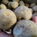 혜주농장 이미지