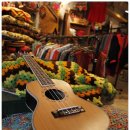 플레이 우쿨렐레 이미지