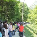 금수목장 이미지