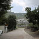 산내과수