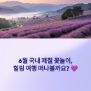 푸른마을 유원보성 | 6월 국내 꽃놀이 명소 BEST 5 - 힐링&amp;미식 여행 떠나기!