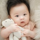 베니스튜디오 이미지