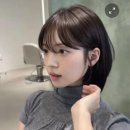 시그널헤어