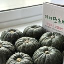제주뉴트라이즈