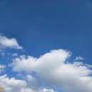 수원-0111 | 260105-0111 일상