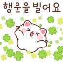 샌드위치 창업 이미지