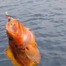 당구 (입문에서 80까지) 이미지