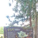 수망리 산마장 잣성 이미지