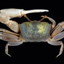 관리공단매점 이미지