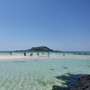 경포대 산호 펜션 | 아무튼 여름, 제주 여행 즐기는법