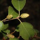 목우한의원 이미지