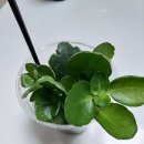 최고짐 서창점 이미지