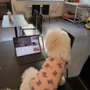 양지유치원 이미지