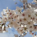 다인 행정사사무소 이미지