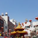 장어여행 이미지