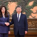 TI FITNESS 이미지