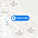 라임키즈수영장 이미지