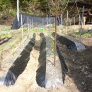 하우리농장 이미지