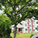 나디아호스텔 이미지